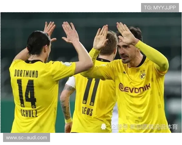 多特争冠稳定性不足问题显现，对赛季走势造成影响